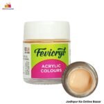 Fevicryl 'Flash Tint' Acrylic Color